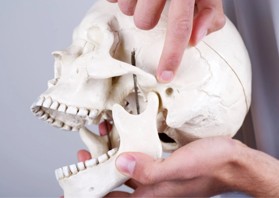 Снимка на Темпоромандибуларни смущения (TMD), бруксизъм и терапия с оклузални шини